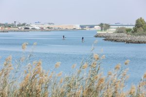 Yas Island, where the Abu Dhabi HSBC Championship 2022 will be held. Image from WikiMedia